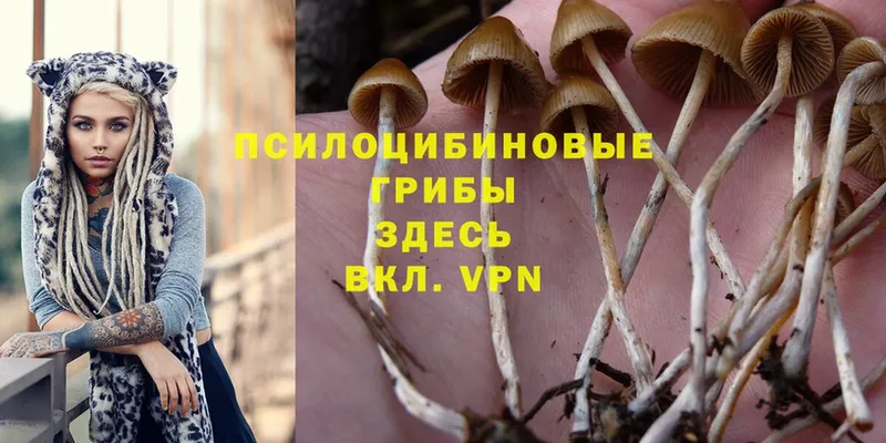 Галлюциногенные грибы Magic Shrooms  KRAKEN онион  Горячий Ключ 